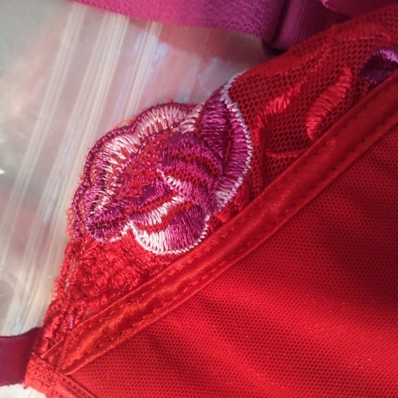 Rene Rofe Red Intimates & Sleepwear - Picture 3 of 6